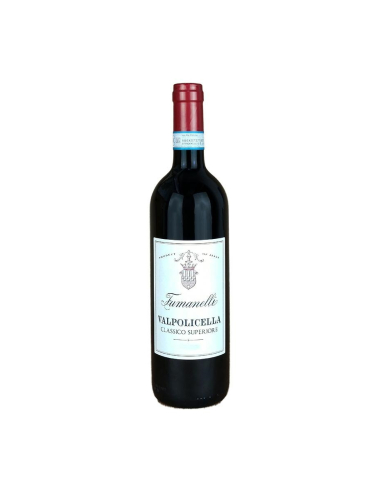 Marchesi Fumanelli Valpolicella Classico Superiore 2019