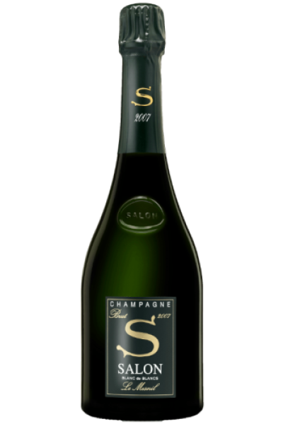 SALON - LE MESNIL 2007